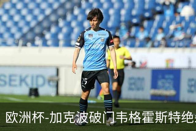 欧洲杯-加克波破门韦格霍斯特绝杀 荷兰2-1波兰